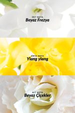 Avon Pur Blanca ve Pur Blanca Elegance Kadın Parfüm Paketi - Görsel 4